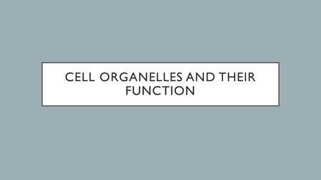 Cell Organelles and their Function