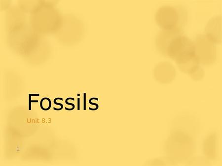 Fossils Unit 8.3.