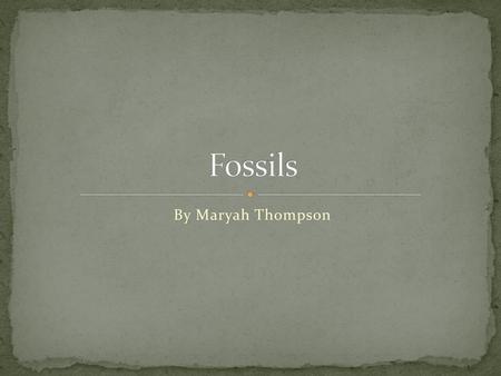 Fossils By Maryah Thompson.