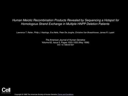 Human Meiotic Recombination Products Revealed by Sequencing a Hotspot for Homologous Strand Exchange in Multiple HNPP Deletion Patients  Lawrence T. Reiter,