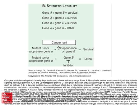 Oncogene addiction and synthetic lethality: keys to discovery of new anticancer drugs. Panel A. Normal cells receive environmental signals that activate.