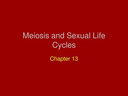 Meiosis and Sexual Life Cycles