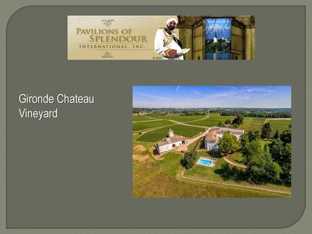 Gironde Chateau Vineyard