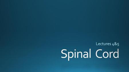 Lectures 4&5 Spinal Cord.