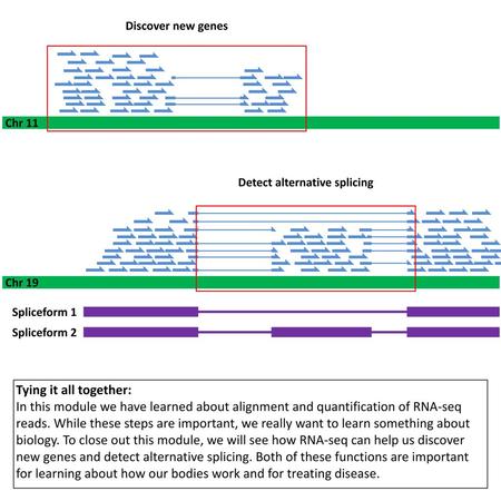 Detect alternative splicing