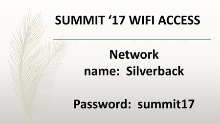 Network name: Silverback