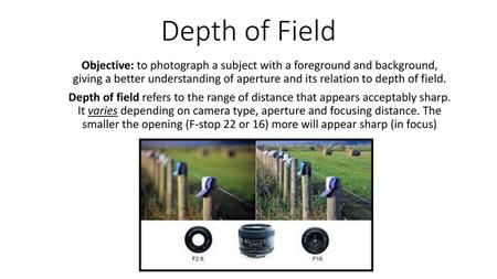 Depth of Field Objective: to photograph a subject with a foreground and background, giving a better understanding of aperture and its relation to depth.