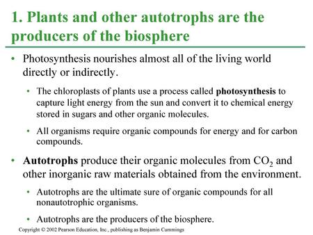 1. Plants and other autotrophs are the producers of the biosphere