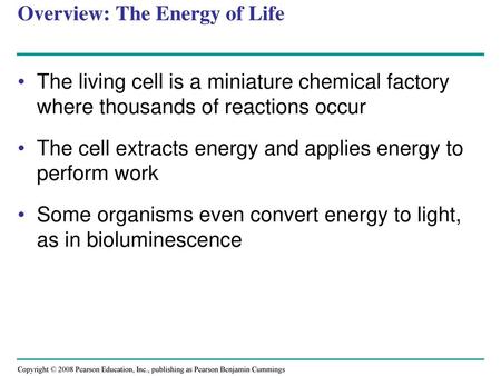 Overview: The Energy of Life