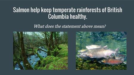 Salmon help keep temperate rainforests of British Columbia healthy.