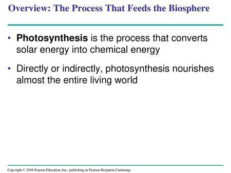 Overview: The Process That Feeds the Biosphere