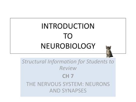 INTRODUCTION TO NEUROBIOLOGY