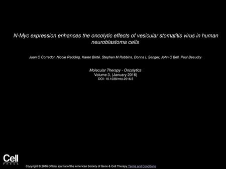 Molecular Therapy - Oncolytics