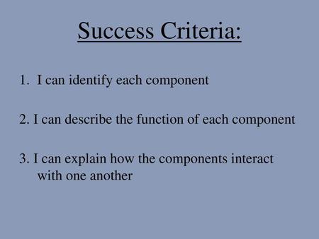 Success Criteria: I can identify each component