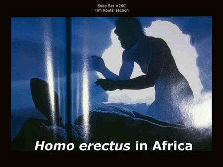 Slide Set #26C Tim Roufs’ section Homo erectus in Africa.