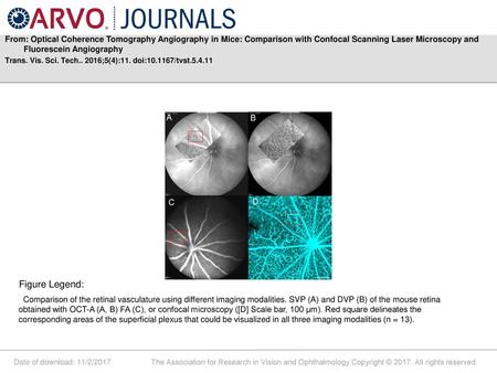 From: Optical Coherence Tomography Angiography in Mice: Comparison with Confocal Scanning Laser Microscopy and Fluorescein Angiography Trans. Vis. Sci.