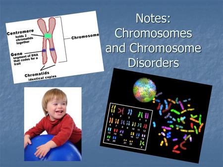 Notes: Chromosomes and Chromosome Disorders