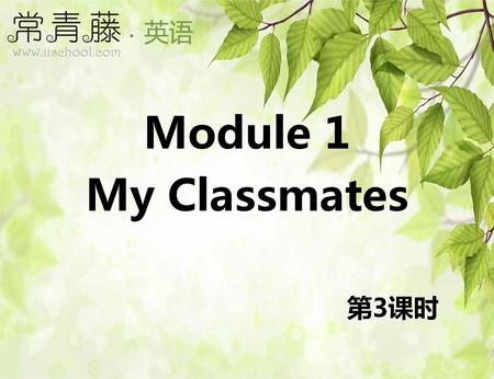 Module 1 My Classmates 第3课时.