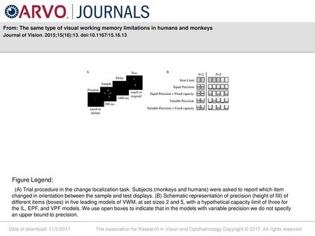 Journal of Vision. 2015;15(16):13. doi: / Figure Legend: