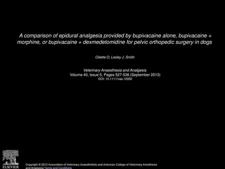 A comparison of epidural analgesia provided by bupivacaine alone, bupivacaine + morphine, or bupivacaine + dexmedetomidine for pelvic orthopedic surgery.