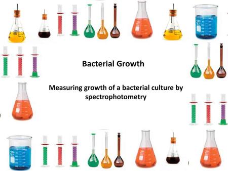 Measuring growth of a bacterial culture by spectrophotometry