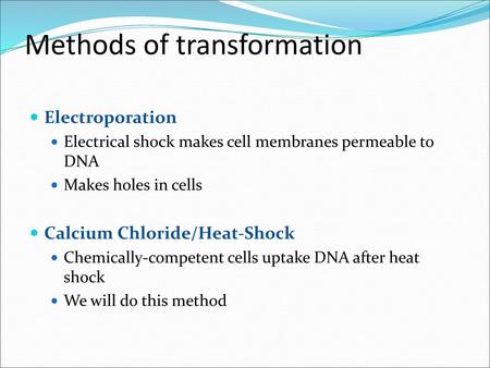 Methods of transformation