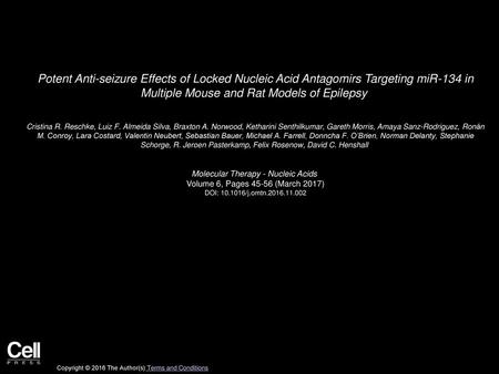 Molecular Therapy - Nucleic Acids