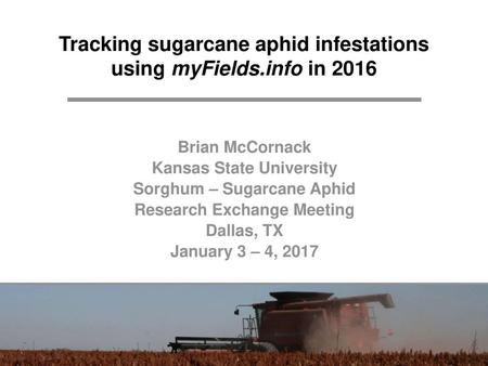 Tracking sugarcane aphid infestations using myFields.info in 2016