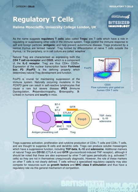 Flow cytometry plot gated on human CD4 T cells