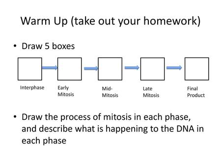 Warm Up (take out your homework)