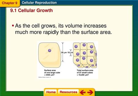 Chapter 9 Cellular Reproduction 9.1 Cellular Growth