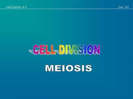 Lab Exercise # 8 Zoo- 145 CELL DIVISION MEIOSIS.