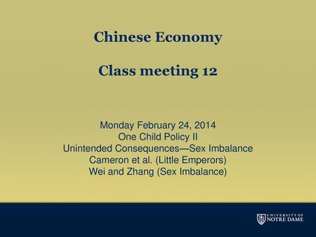 Chinese Economy Class meeting 12