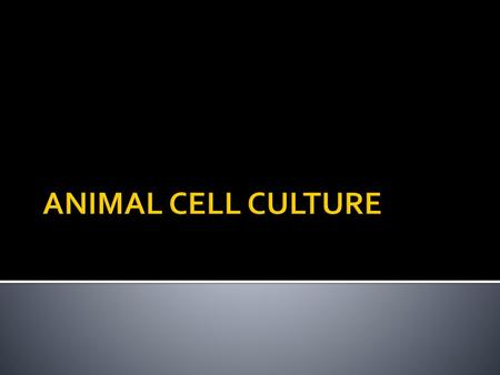 ANIMAL CELL CULTURE.