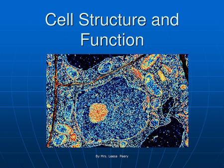 Cell Structure and Function