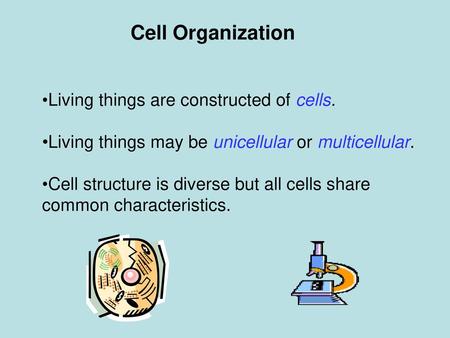 Cell Organization Living things are constructed of cells.