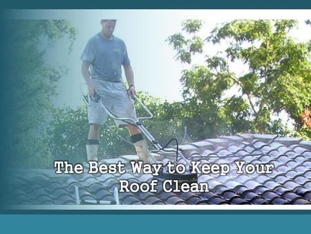 The Best Way to Keep Your Roof Clean