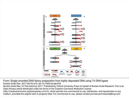 Figure 1. Library preparation methods for highly degraded DNA