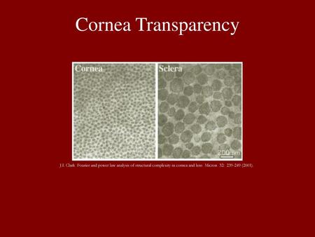 Cornea Transparency J.I. Clark Fourier and power law analysis of structural complexity in cornea and lens Micron 32: 239-249 (2001).