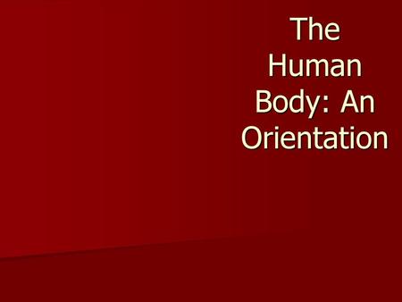 The Human Body: An Orientation