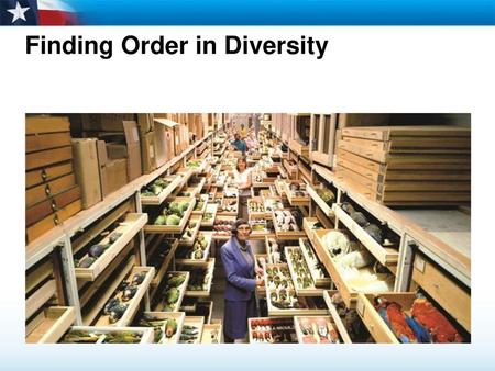 Finding Order in Diversity