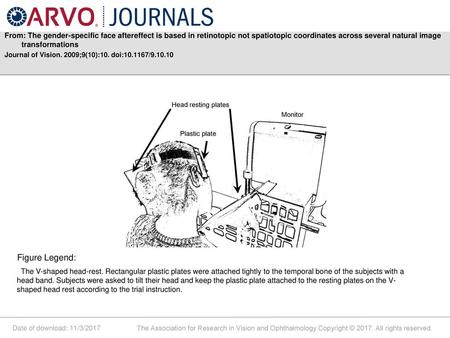 From: The gender-specific face aftereffect is based in retinotopic not spatiotopic coordinates across several natural image transformations Journal of.