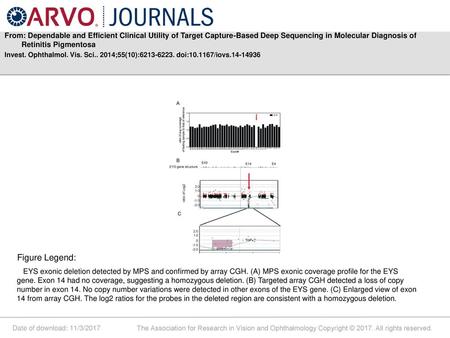 From: Dependable and Efficient Clinical Utility of Target Capture-Based Deep Sequencing in Molecular Diagnosis of Retinitis Pigmentosa Invest. Ophthalmol.