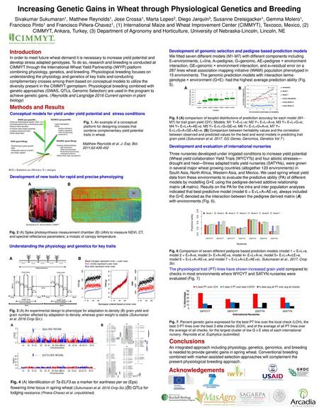 Increasing Genetic Gains in Wheat through Physiological Genetics and Breeding Sivakumar Sukumaran1, Matthew Reynolds1, Jose Crossa1, Marta Lopes2, Diego.