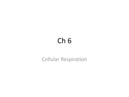 Ch 6 Cellular Respiration.