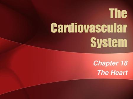 The Cardiovascular System