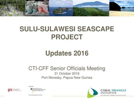 SULU-SULAWESI SEASCAPE PROJECT Updates 2016 CTI-CFF Senior Officials Meeting 31 October 2016 Port Moresby, Papua New Guinea.