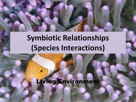 Symbiotic Relationships (Species Interactions)