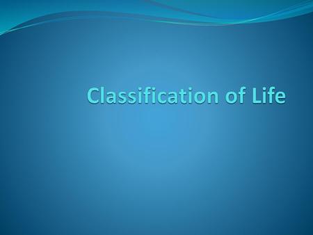 Classification of Life