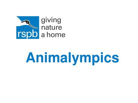 Animalympics.